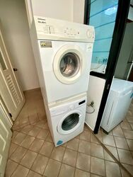 Spring Grove (D10), Condominium #586693001